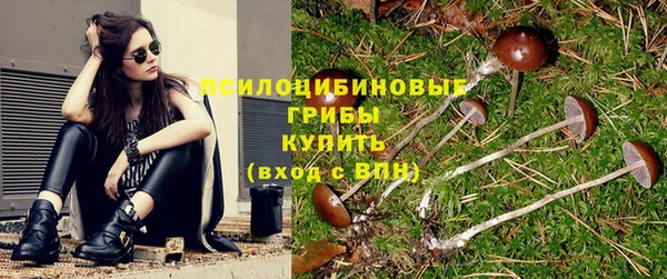 MESCALINE Пестово