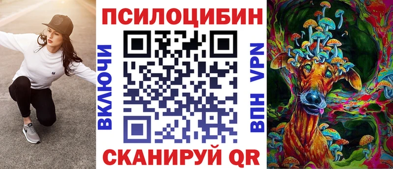 Псилоцибиновые грибы Psilocybe Пыть-Ях