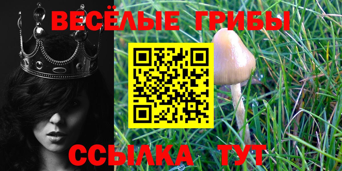 Пыть-Ях  Галлюциногенные грибы GOLDEN TEACHER  Вход с VPN  Галлюциногенные грибы мухоморы 