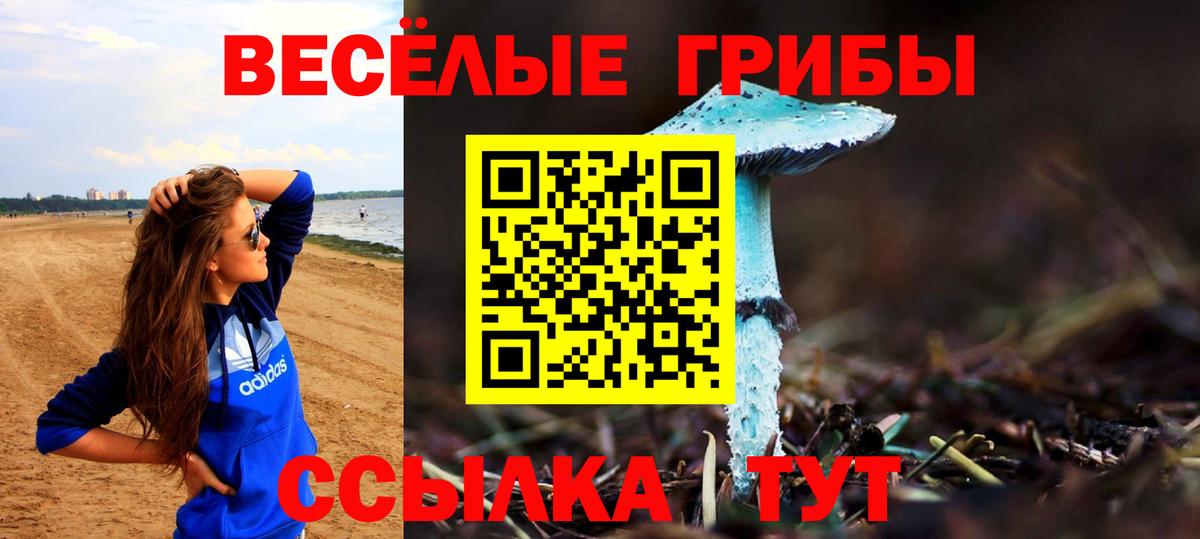 Псилоцибиновые грибы MAGIC MUSHROOMS  купить наркотик  Псилоцибиновые грибы Psilocybe  Пыть-Ях 